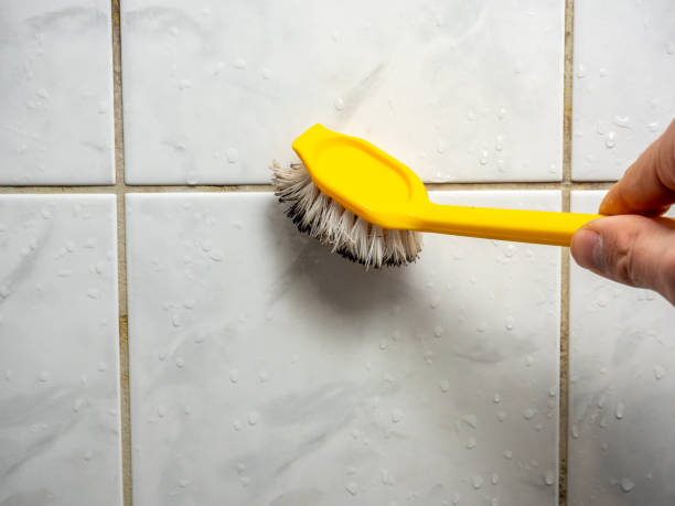 Best Insurance-Related Mold Remediation in New Concord, OH